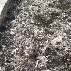 Signs of Spring Image